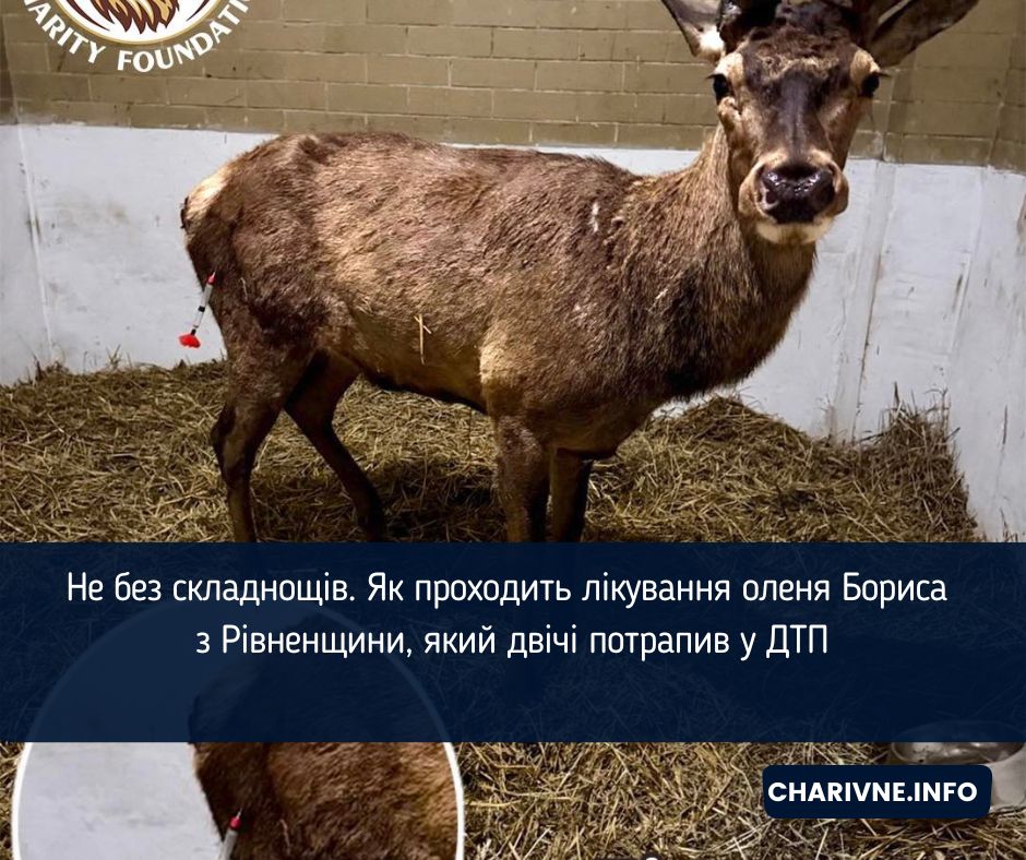 Фото ілюстративне
